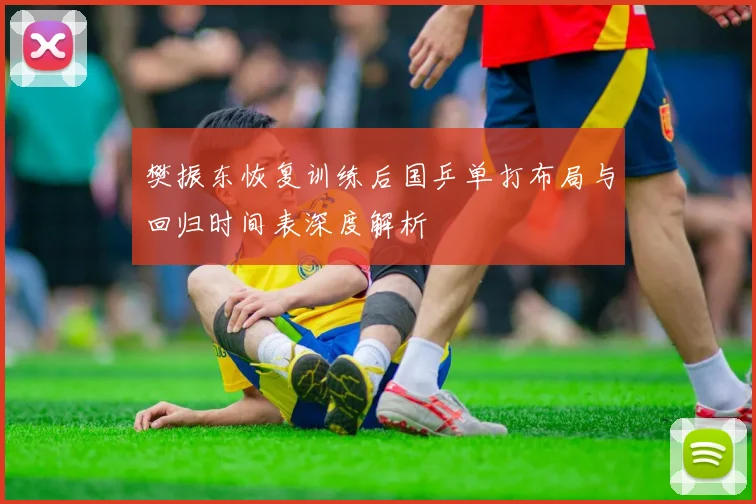 樊振东恢复训练后国乒单打布局与回归时间表深度解析